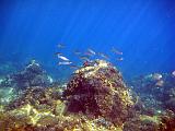 2009-09-10 10-19-55S